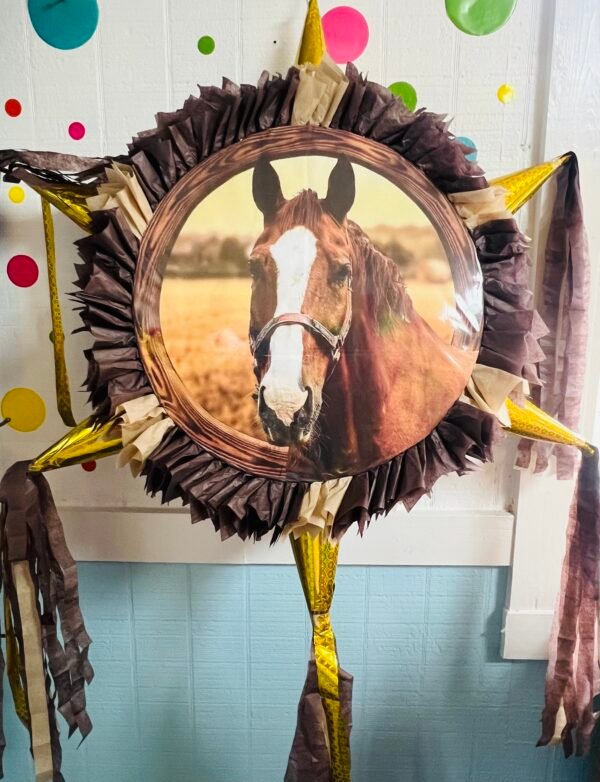 Round piñata with 6 cones 17” - Image 15