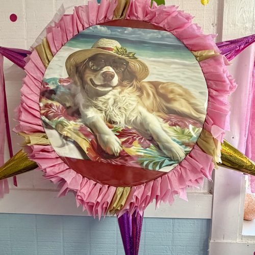 Cute Dog Round Piñata with 6 cone
